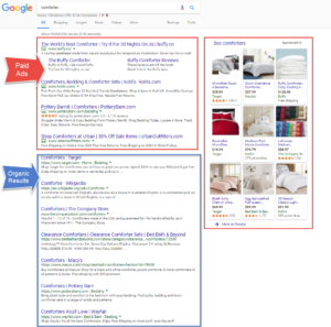 Paid vs Organic Search