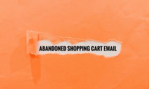 abandoned shopping cart email