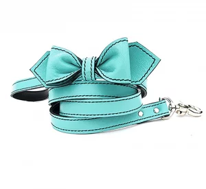 luxemutt teal dog leash