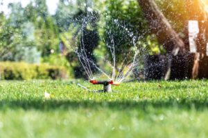 sprinkler watering grass